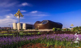 鄂尔多,探寻中国西部草原的绿色奇迹