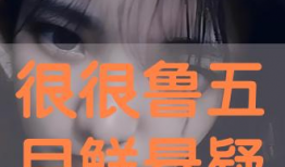 很很鲁在线视频,揭秘“很很鲁”在线视频的精彩瞬间